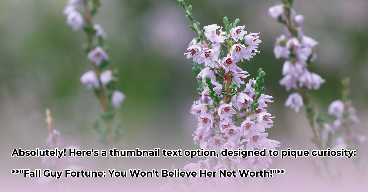 heather-thomas-net-worth